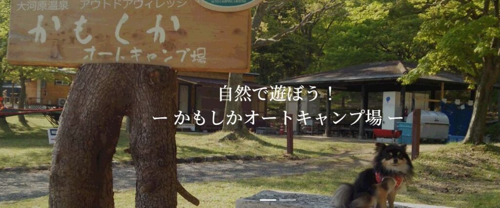 星が綺麗にみえるキャンプ場 関西