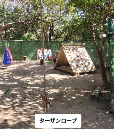 星が綺麗にみえるキャンプ場 関西