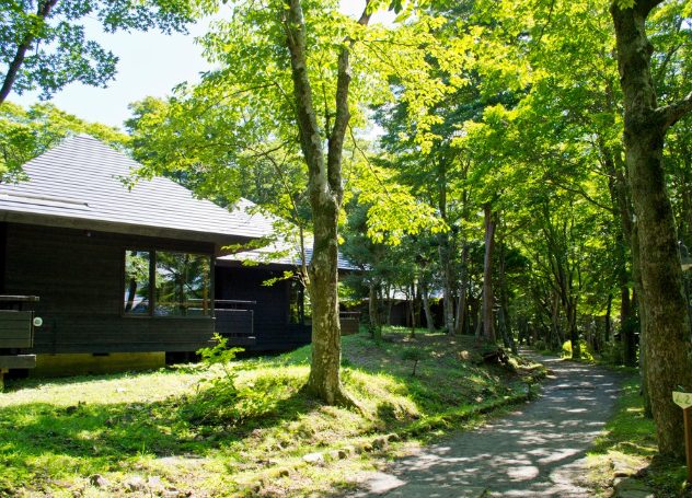 星が綺麗にみえるキャンプ場 神奈川