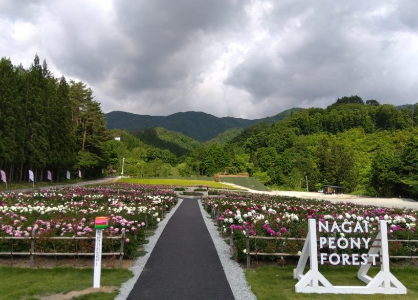 星が綺麗なキャンプ場 東北