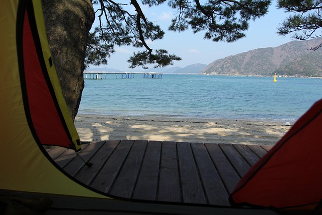 星が綺麗なキャンプ場 静岡 海