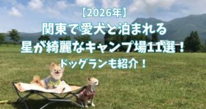 星が綺麗にみえるキャンプ場　愛犬　関東