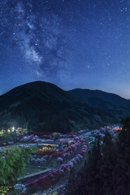 長野県で星が綺麗に見えるおすすめ