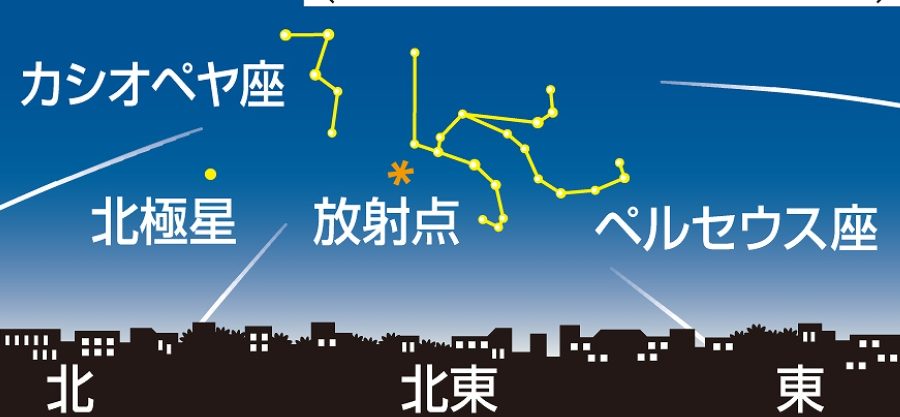 ８月　流星群　星空観察