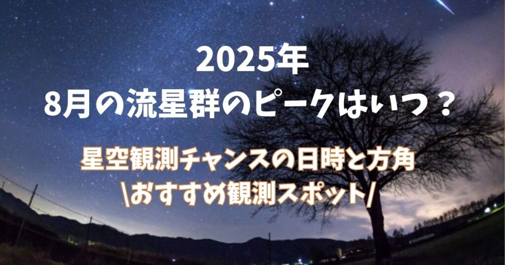 ８月　流星群　星空観察