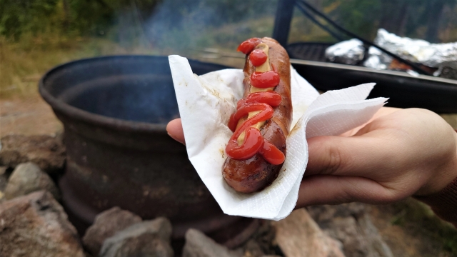 焚き火 ソーセージ 焼き方