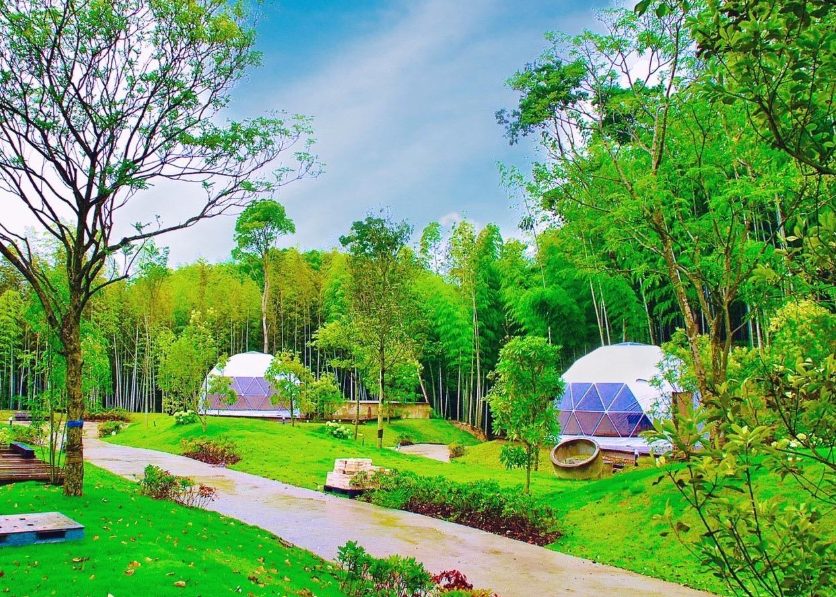 愛知県　いちご狩り　子連れ