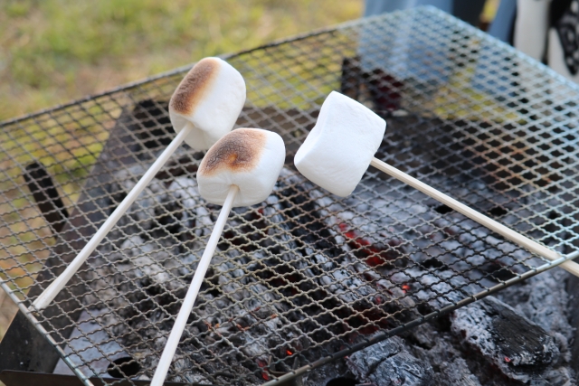 焚き火　飯　アルミホイル