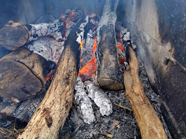 焚き火 灰 処理 アルミホイル