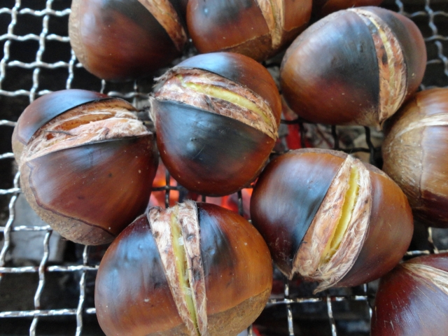 焚き火　焼き栗　アルミホイル